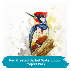 Red-crested Barbet Watercolour Project Pack – £7